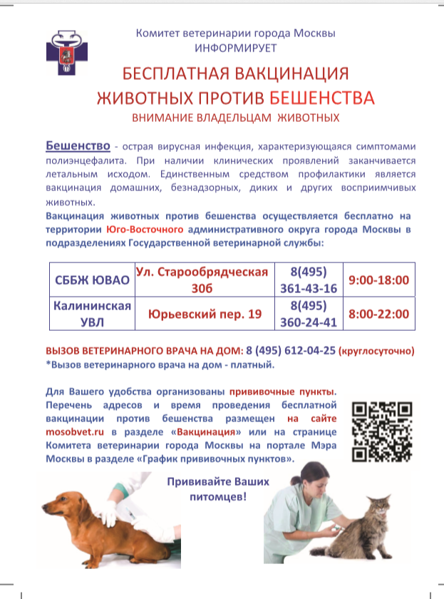 Без имени.png