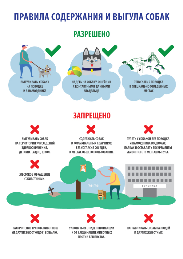 1-листовка-2-правила-содержания (1).jpg