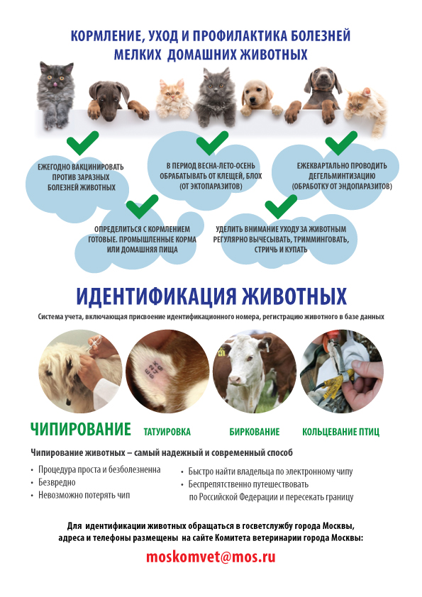 1-листовка-3-профилактика (1).jpg