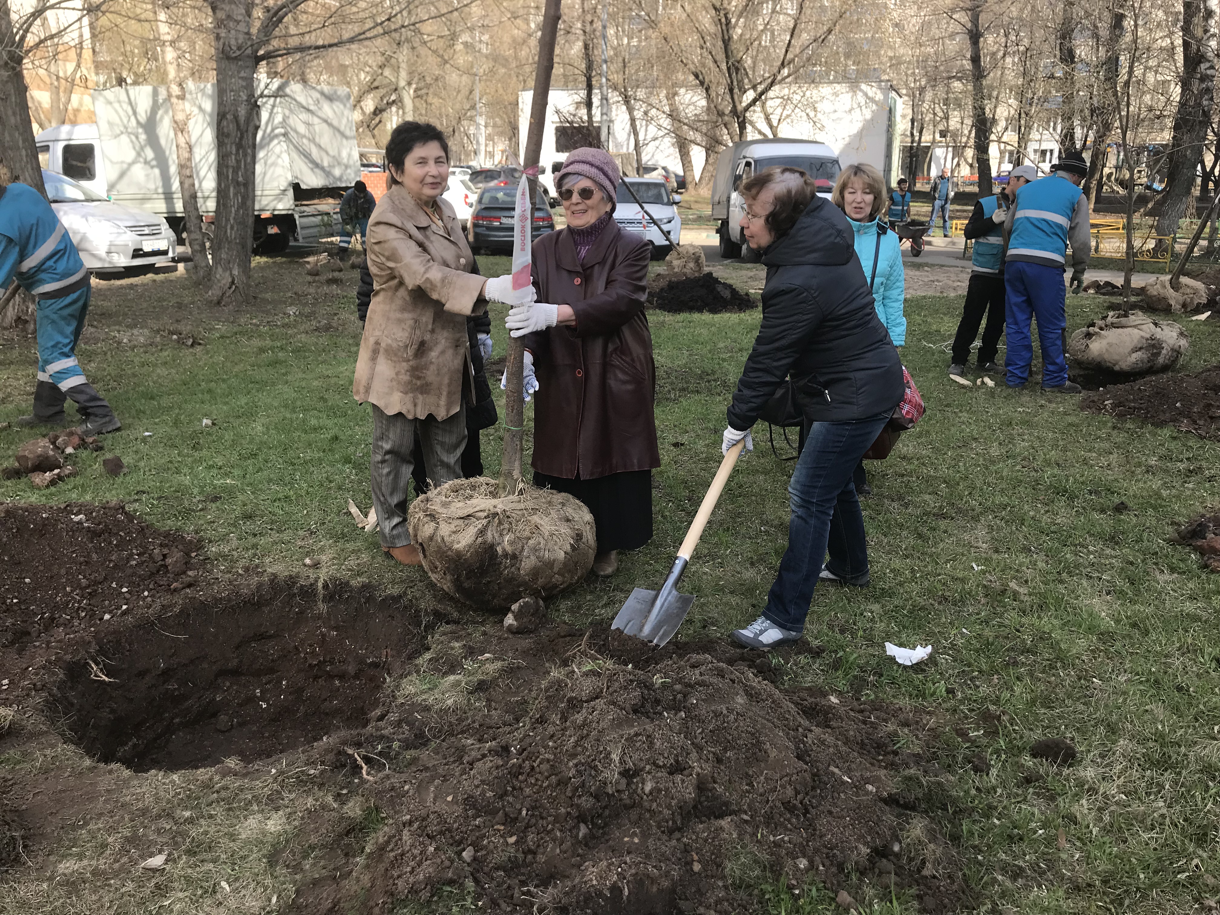 Акция "Миллион деревьев Москве"