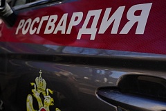В Москве росгвардейцы задержали гражданина, подозреваемого в краже имущества из чужого авто
